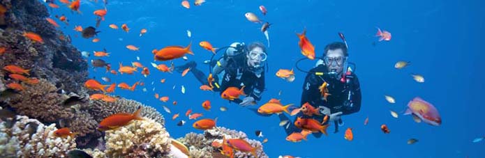 divingimage